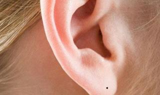 耳垂是耳珠吗 耳珠是哪个部位